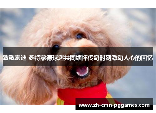 致敬泰迪 多特蒙德球迷共同缅怀传奇时刻激动人心的回忆