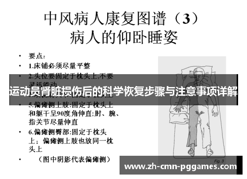 运动员肾脏损伤后的科学恢复步骤与注意事项详解